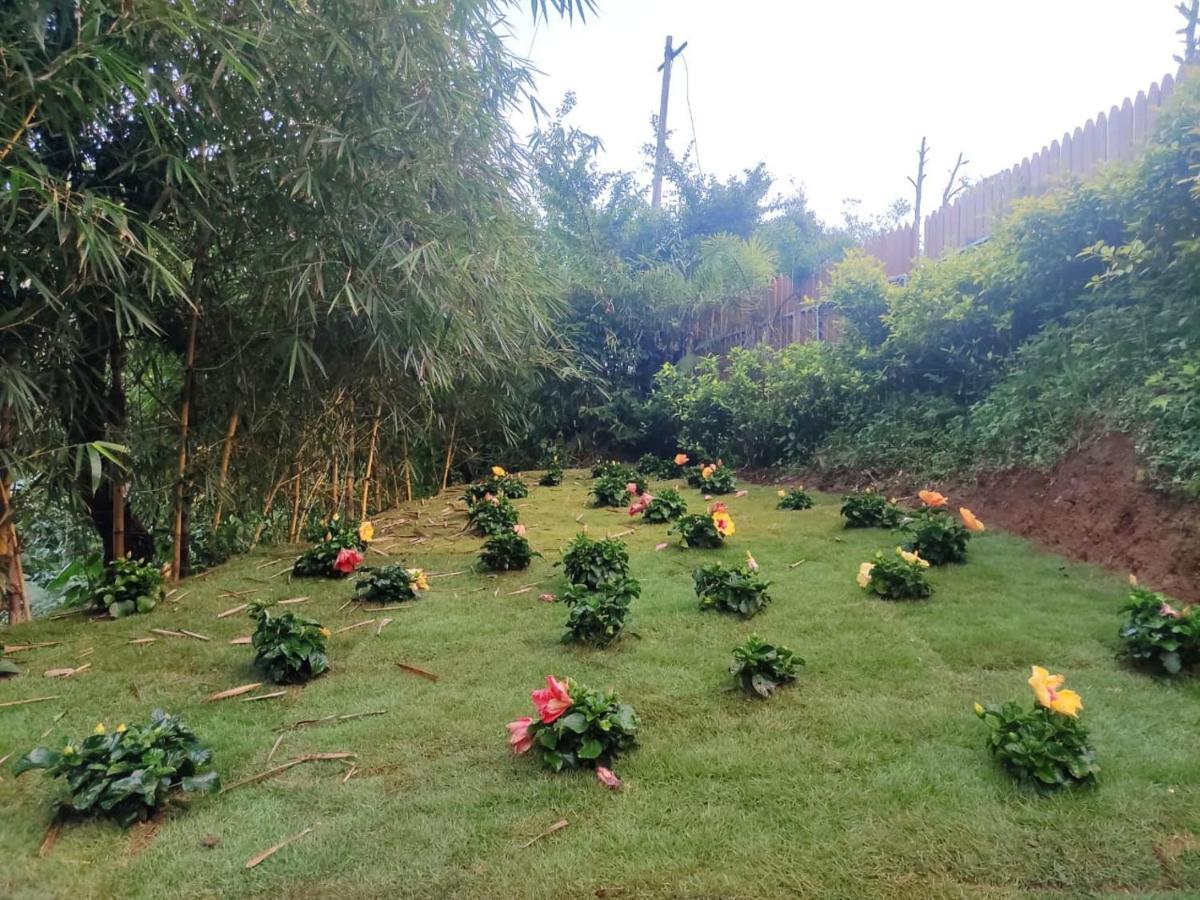 Misty Rain Estate Hotel Madikeri Exterior photo