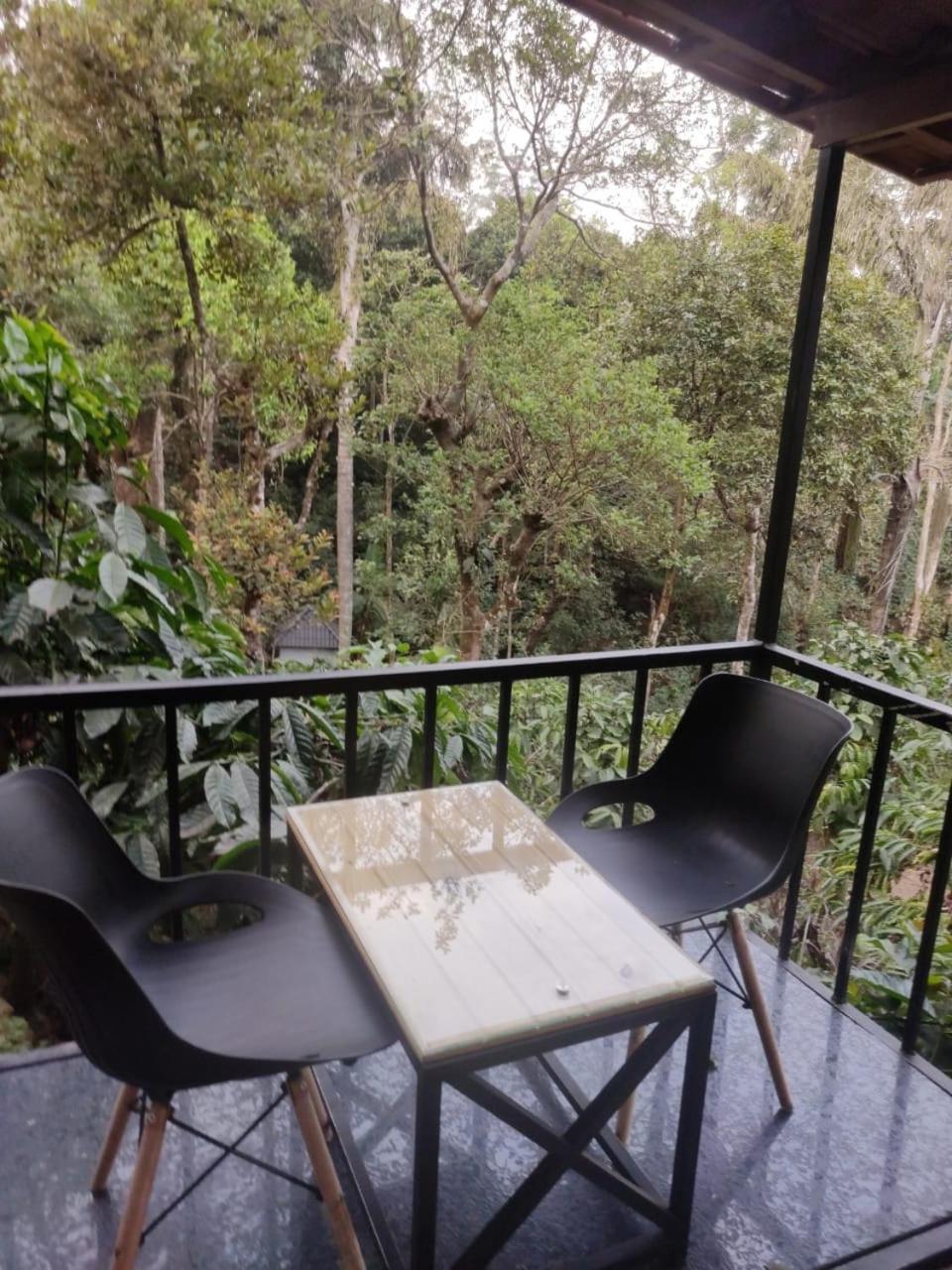 Misty Rain Estate Hotel Madikeri Exterior photo