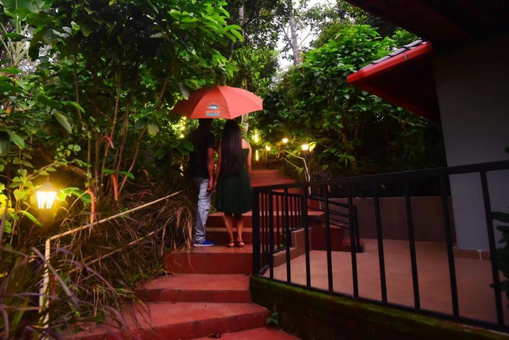 Misty Rain Estate Hotel Madikeri Exterior photo