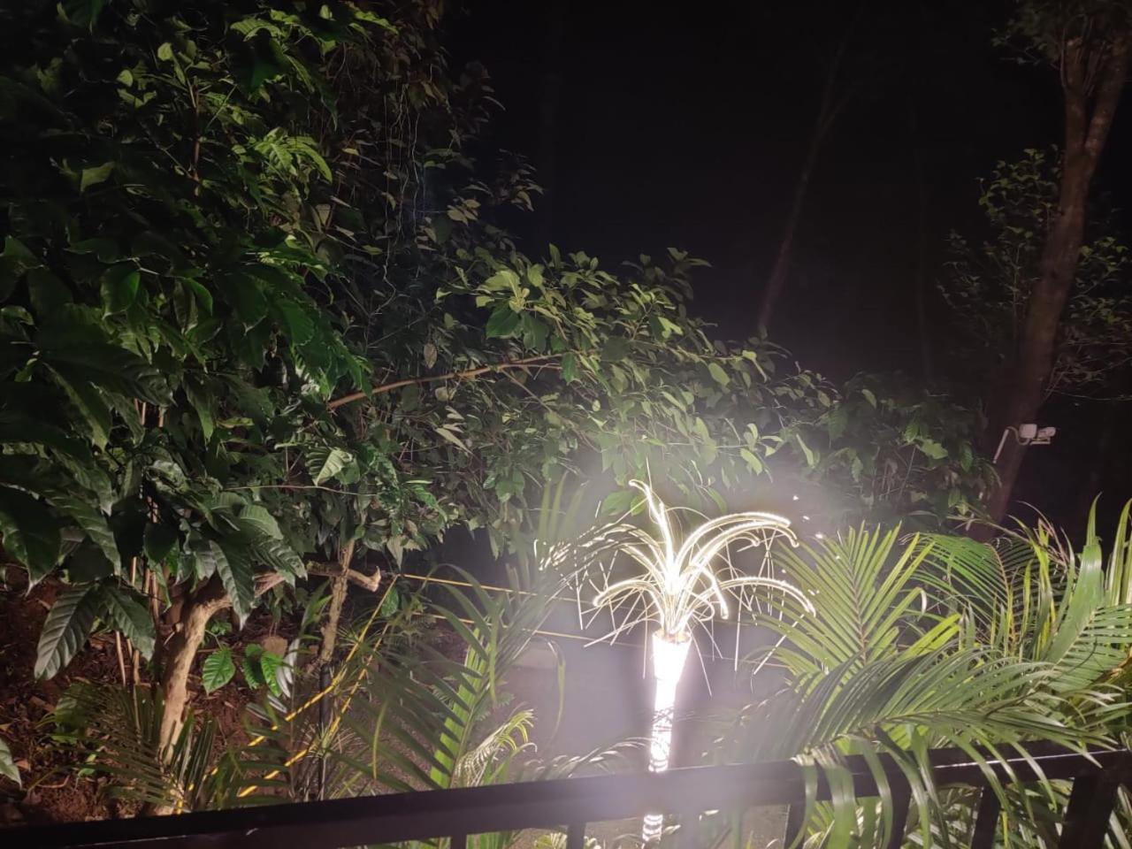 Misty Rain Estate Hotel Madikeri Exterior photo
